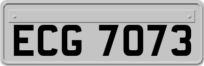 ECG7073