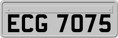 ECG7075