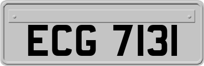 ECG7131