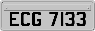 ECG7133