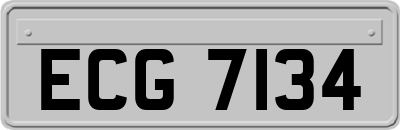 ECG7134