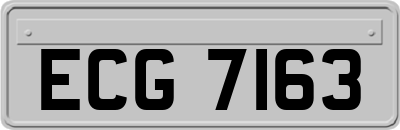 ECG7163
