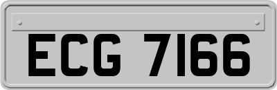ECG7166