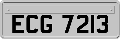 ECG7213