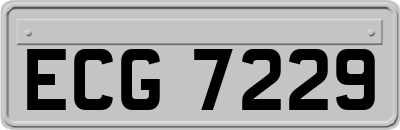 ECG7229