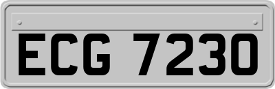ECG7230
