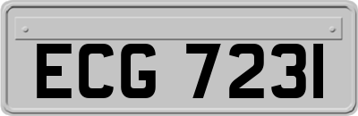ECG7231