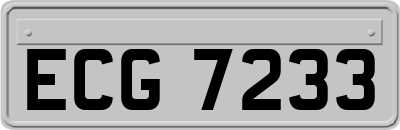 ECG7233