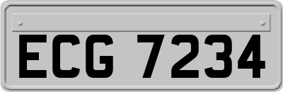 ECG7234
