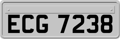 ECG7238