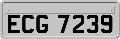 ECG7239