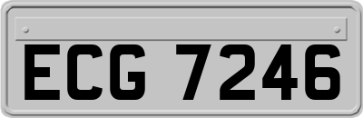 ECG7246