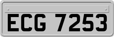 ECG7253