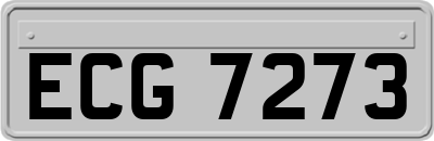 ECG7273
