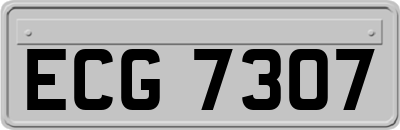 ECG7307