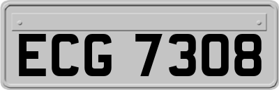 ECG7308