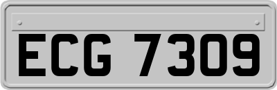 ECG7309