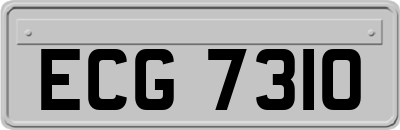 ECG7310