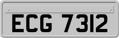 ECG7312
