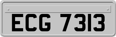 ECG7313