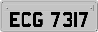 ECG7317