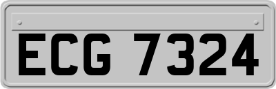 ECG7324