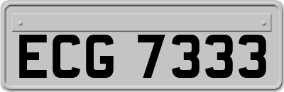ECG7333