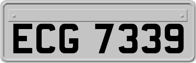 ECG7339