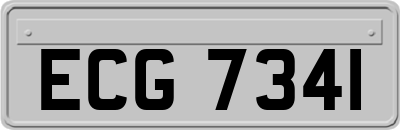 ECG7341