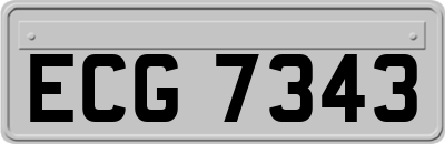 ECG7343