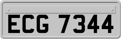ECG7344