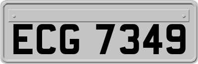 ECG7349