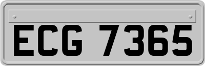 ECG7365