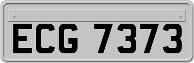 ECG7373