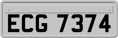 ECG7374