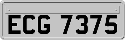 ECG7375