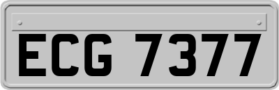 ECG7377