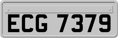 ECG7379