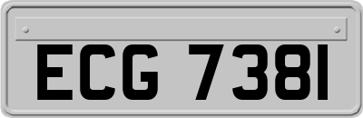 ECG7381