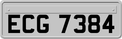 ECG7384