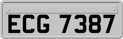 ECG7387