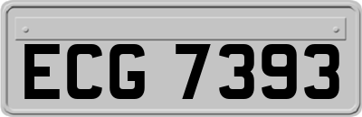 ECG7393
