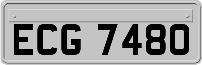 ECG7480