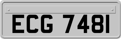 ECG7481