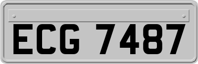 ECG7487