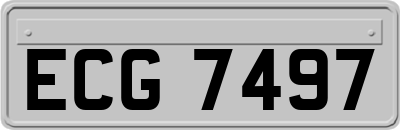 ECG7497