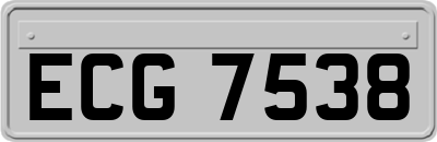 ECG7538