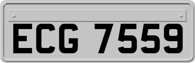 ECG7559