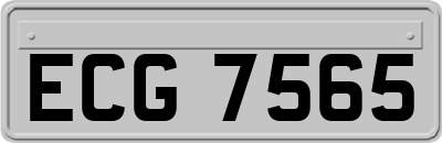 ECG7565