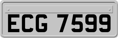 ECG7599